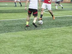 金宝博,体育,资讯,金宝博188bet体育官方,金宝博188bet体育在线官网,金宝博188bet体育线上,金宝博188bet体育APP