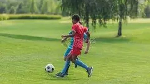 2025央视五一晚会特邀嘉宾阵容揭晓