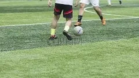 金宝博196bet体育 资讯 102649 wsl